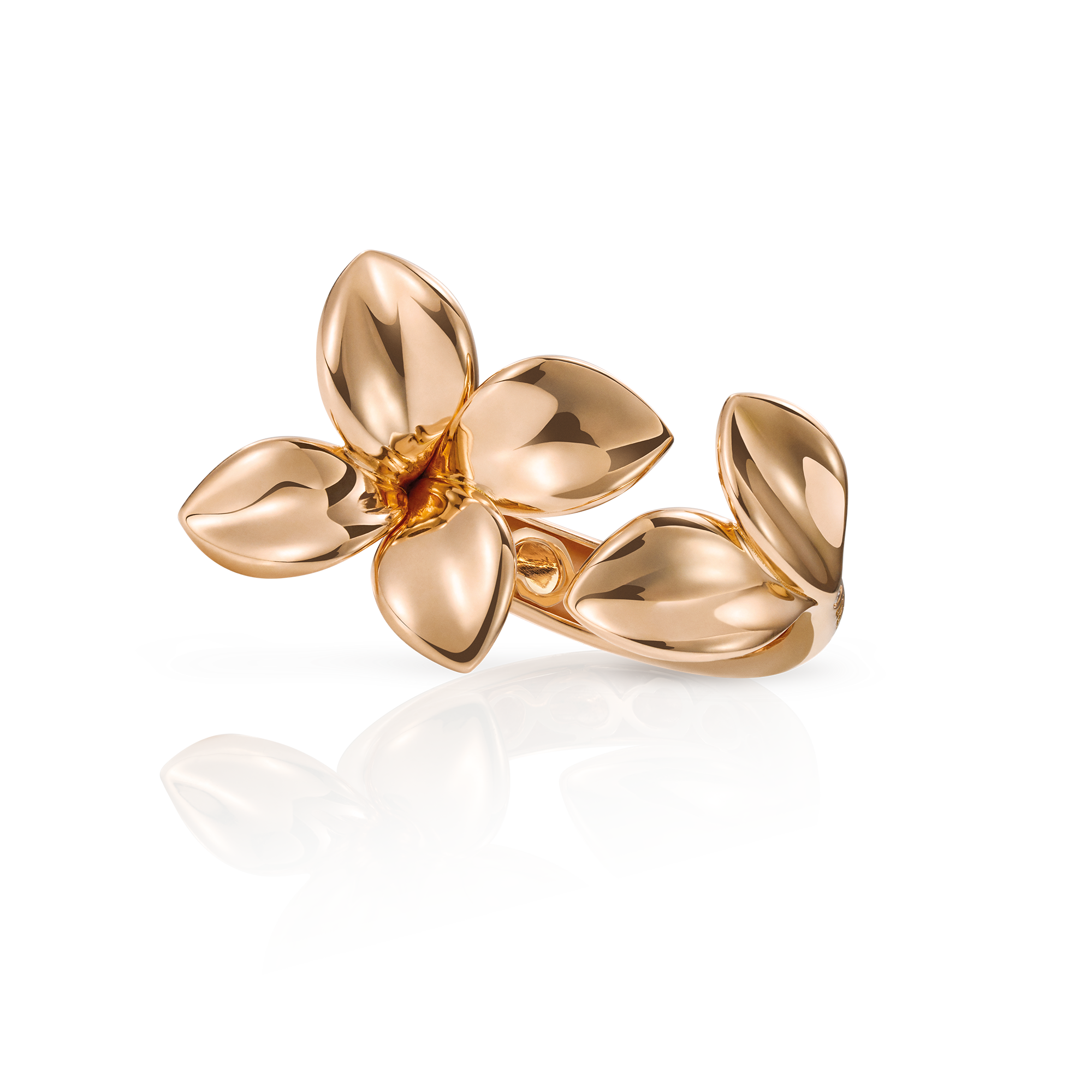GIARDINI SEGRETI RING