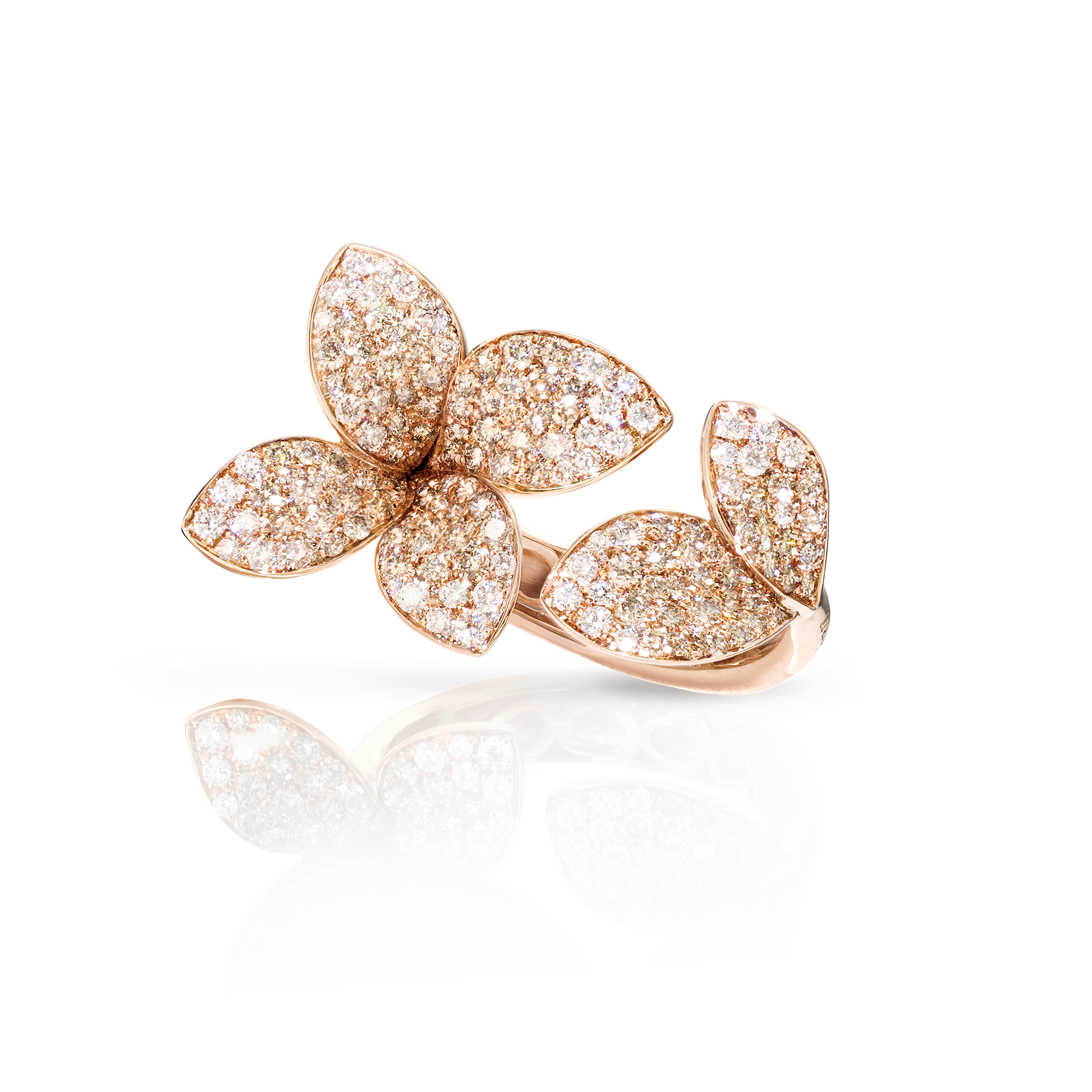 GIARDINI SEGRETI RING