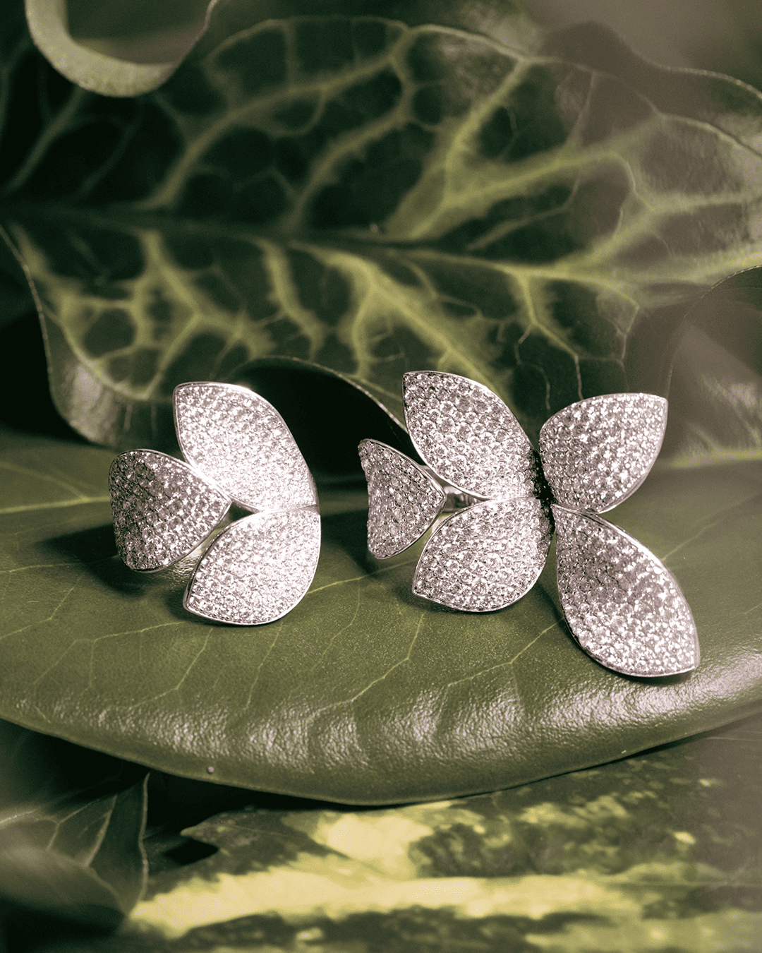 Giardini Segreti rings in 18k White Gold with White Diamonds