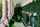 Design Week Exhibition, April 2026. Green leaves at the Università Statale of Milan.