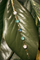 Colored Petit Joli bracelet on green leaves