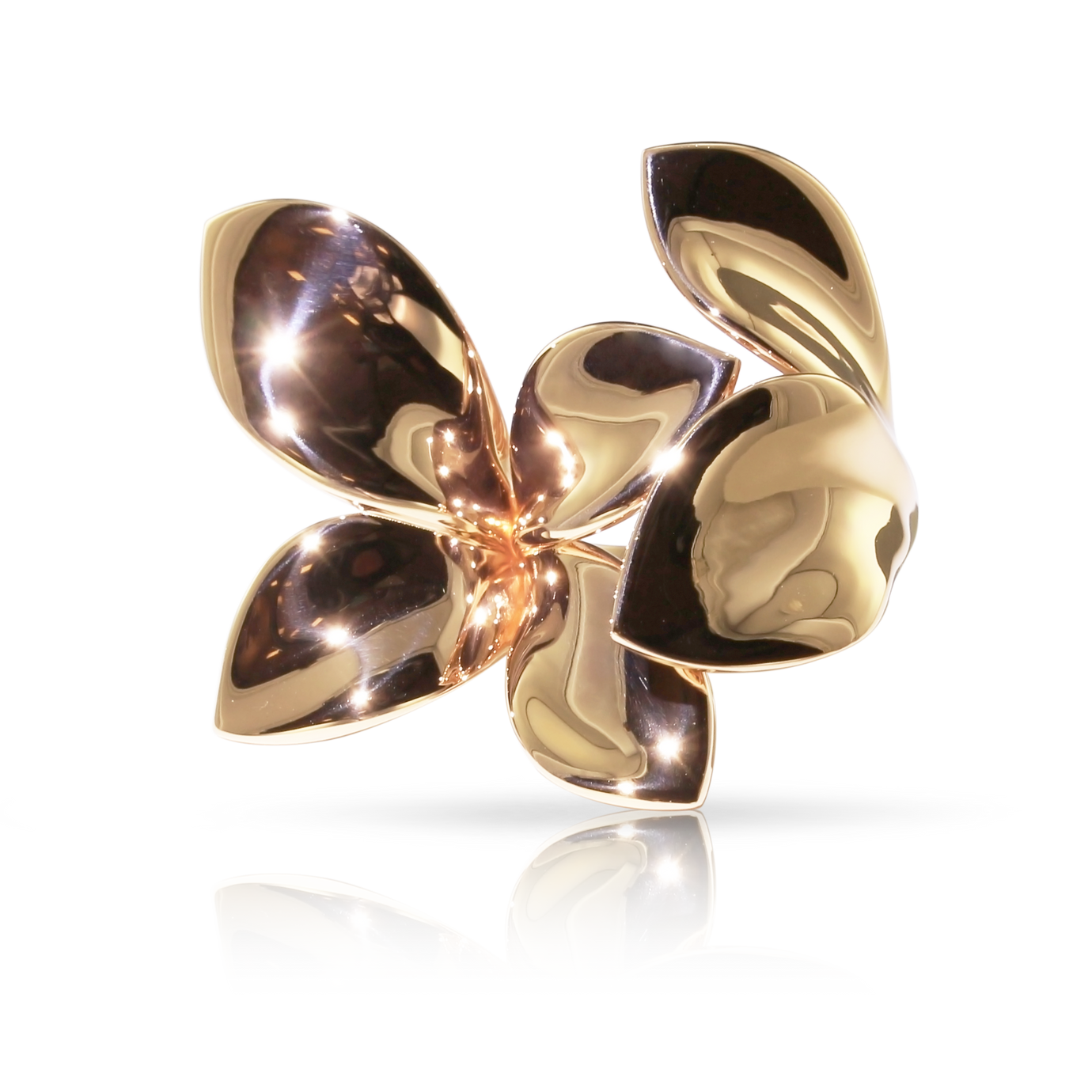 GIARDINI SEGRETI RING